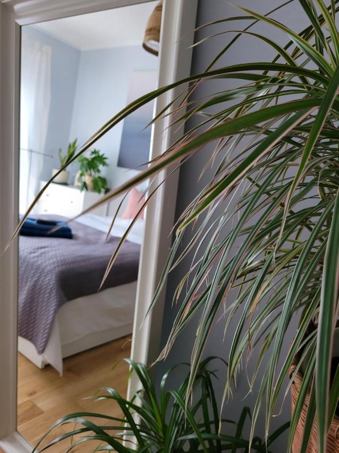 Maciejkowa Apartamento Estetino Exterior foto